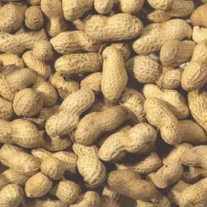 Monkey Nuts